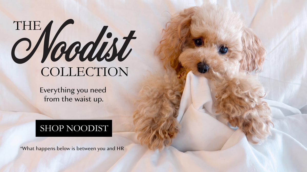 noodlesthepooch