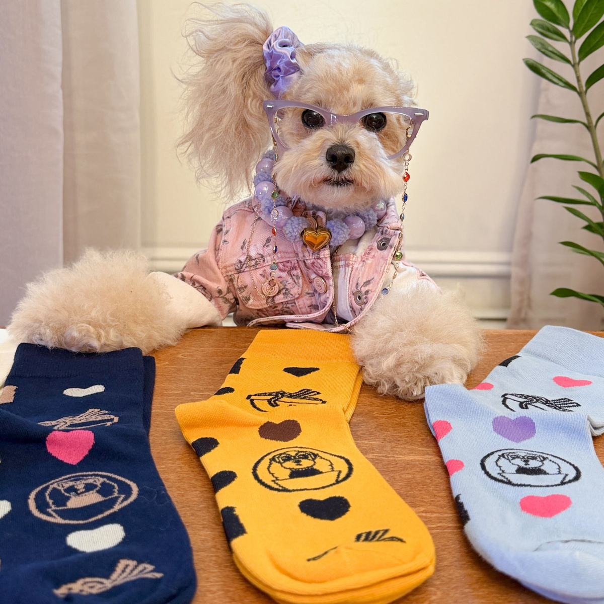 Established 2019 Socks