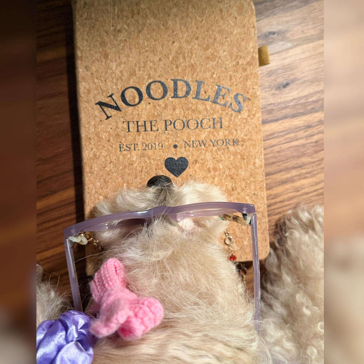 Established 2019 Cork A5 Notebook