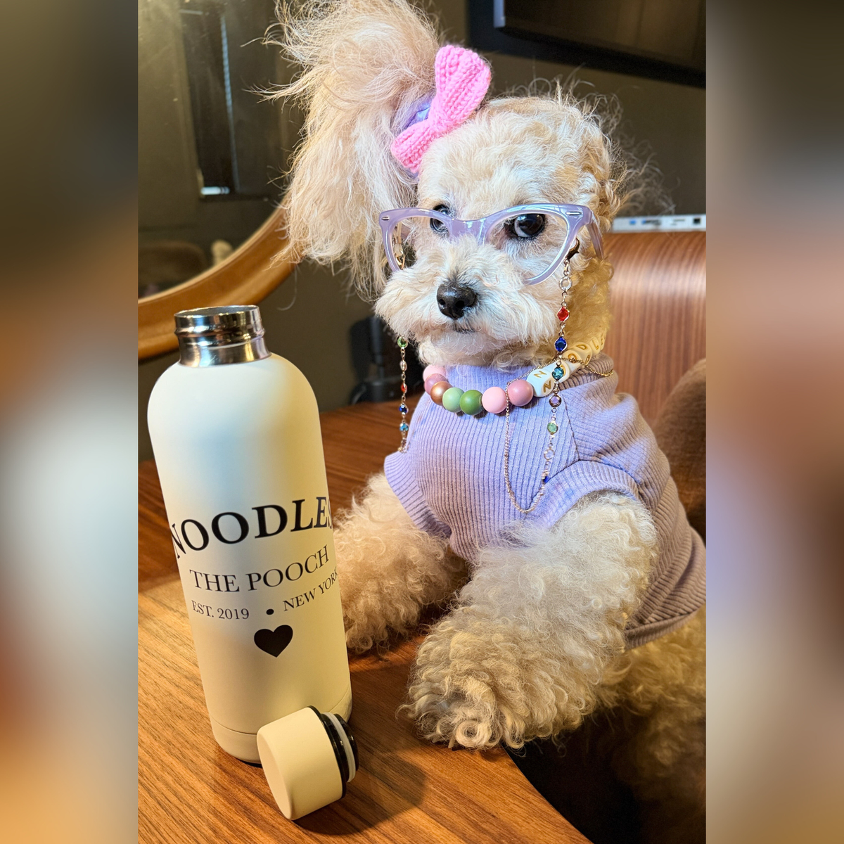 Established 2019 Stainless Steel Waterbottle