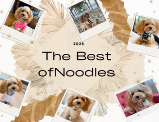 The Best of Noodles ®  2026 Calendar