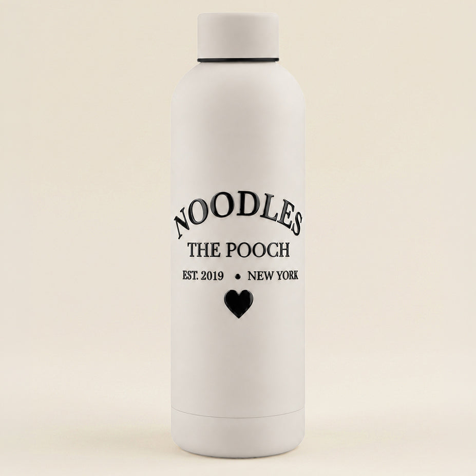 Established 2019 Stainless Steel Waterbottle