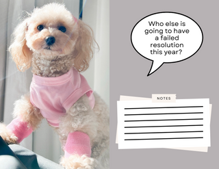The Corporate Canine ®  2024 Calendar