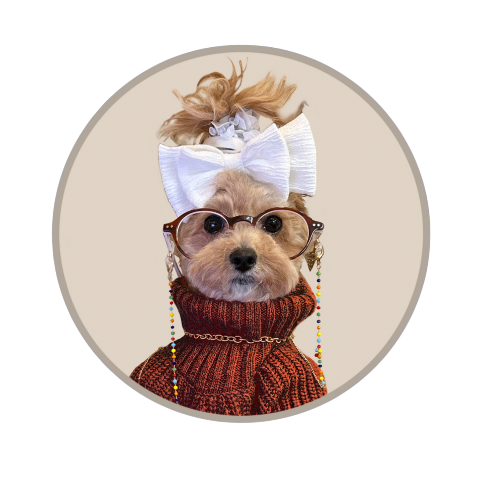 Pooch Products – noodlesthepooch