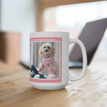 Load image into Gallery viewer, Catch these paws - Ceramic Mug 15oz
